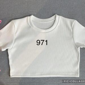 Ref 971