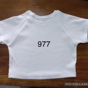 Ref 977
