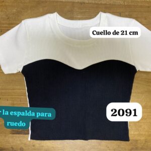 Ref 2091