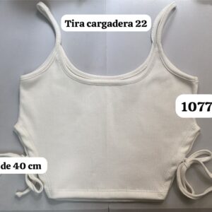 Ref 1077