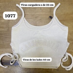 Ref 1077