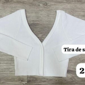 Ref 2173