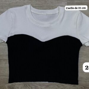 Ref 2091