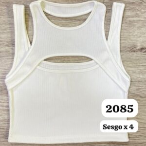 Ref 2085