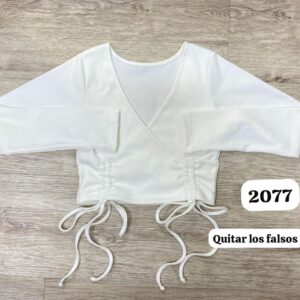 Ref 2077