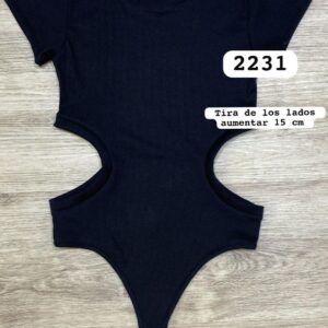 Ref 2231