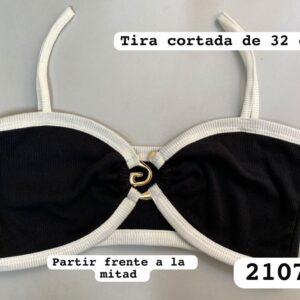 Ref 2107