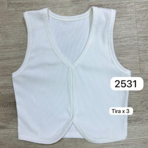 Ref 2531