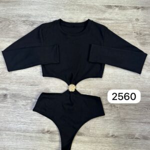 Ref 2560