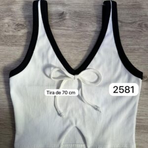 Ref 2581