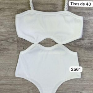 Ref 2561