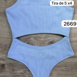 Ref 2669